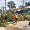 Banjir Melanda Lima Kecamatan di Kendari, Pemkot Perpanjang Status Tanggap Darurat