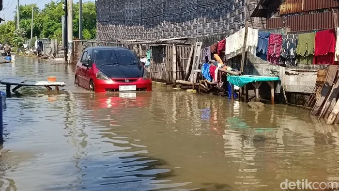 Banjir Rob Rendam Empat Desa Pesisir Sedati Sidoarjo, Aktivitas Nelayan dan Petambak Terganggu