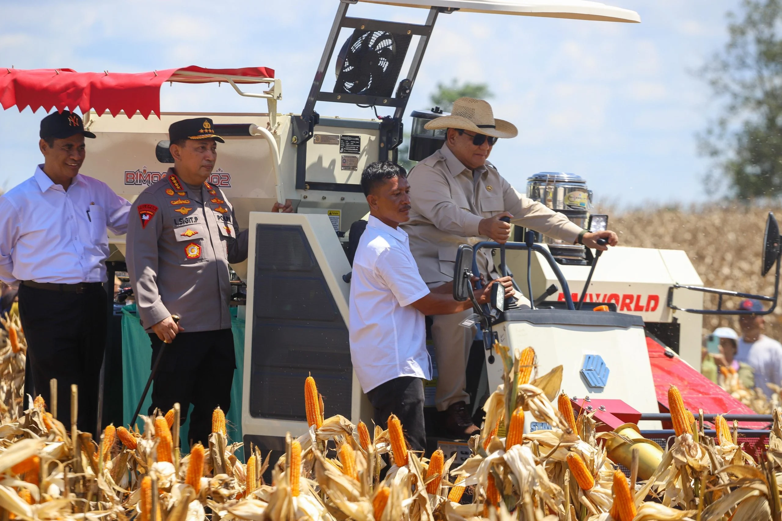 Bantuan Presiden Tiba, Petani Tuban Panen Jagung dengan Mesin Modern