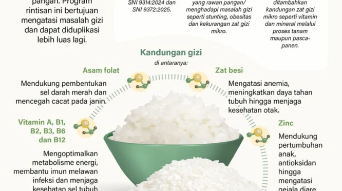 Bapanas Awasi Ketat Peredaran Beras Fortifikasi untuk Pastikan Kualitas dan Harga Wajar