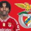 Benfica Tarik Jaden Umeh dari Skuad Republik Irlandia untuk Laga Persahabatan Melawan Grenada