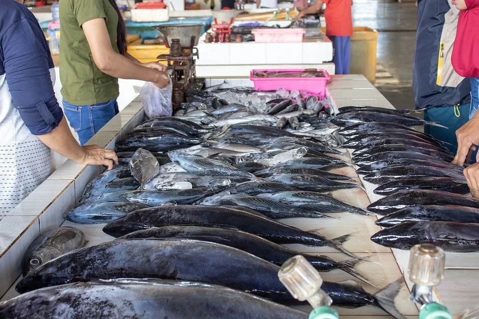 BGN Sarankan SPPG di Natuna Hindari Ikan Laut untuk Mencegah Keracunan