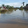 BNPB Laporkan Banjir Melanda Beberapa Wilayah, Ribuan Warga Terimbas