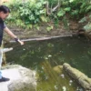 Bocah 3 Tahun di Garut Ditemukan Meninggal Dunia di Kolam, Orang Tua Syok