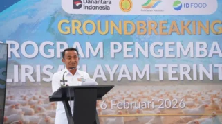 Bone Jadi Percontohan Hilirisasi Ayam Nasional, Dorong Peternak Rakyat Menuju Kesejahteraan
