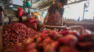 BPS Catat Harga Bawang Merah Naik Melampaui Harga Acuan Penjualan di Mei 2026