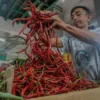 BPS Catat Harga Cabai Merah Naik Pekan Ketiga Mei 2026, Tetap dalam Batas HAP