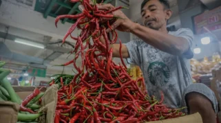 BPS Catat Harga Cabai Merah Naik Pekan Ketiga Mei 2026, Tetap dalam Batas HAP