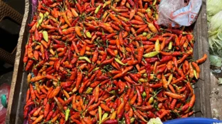 BPS Catat Harga Cabai Rawit Turun Meski Masih Melewati Harga Acuan Penjualan