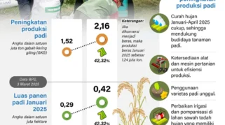 BPS Sebut Capaian Produksi Padi Nganjuk di 2025 Tertinggi 5 Tahun Terakhir