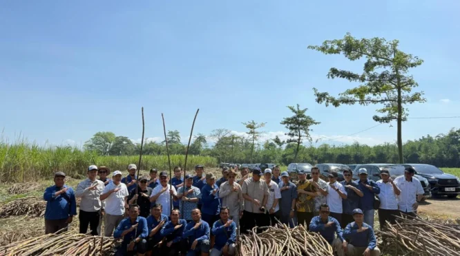 Bupati Sebut Dukungan Infrastruktur Jadi Harapan Peningkatan Produksi Gula di Blitar