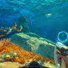Cara Meningkatkan Ukuran Inventaris di Subnautica 2