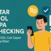 Daftar Pinjol Mudah Cair ke DANA Tanpa Ribet dengan Limit Besar dan Tanpa BI Checking
