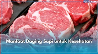 Daging Sapi Bukan Sekadar Protein, Ini Manfaat dan Cara Memilihnya
