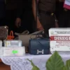 Deretan Perhiasan dan Tas Mewah Sandra Dewi yang Dilelang di BPA Fair 2026