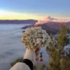 Di Tengah Kabut Bromo, Edelweis Menjadi Simbol Cinta yang Tak Pernah Layu