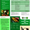 Diet sehat untuk memperbaiki kolesterol HDL: Komponen Utama yang Harus Diketahui