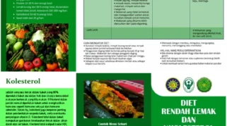 Diet sehat untuk memperbaiki kolesterol HDL: Komponen Utama yang Harus Diketahui