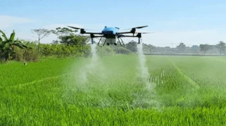 Dispertangan Situbondo Sediakan Drone Sprayer Gratis untuk Petani