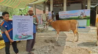 Distribusi Daging Kambing dan Sapi Kurban di Berbagai Daerah pada Idul Adha 1447 H