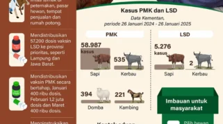 DKP3 Jember Perkuat Vaksinasi Antisipasi Penyebaran PMK Jelang Iduladha 2026