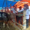 DKPP Jabar Imbau Masyarakat Cermat Memilih Hewan Kurban dengan SKKH dan Sertifikat Veteriner