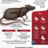 Dokter RS UNS Ingatkan Masyarakat Pentingnya Memahami Penularan Hantavirus