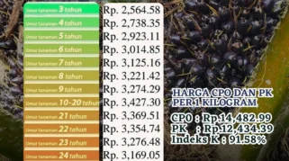 DPR Soroti Penurunan Harga TBS di Tengah Kebijakan Ekspor Sawit Satu Pintu