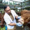 DPRD Surabaya Dorong Kelurahan Awasi Lapak Hewan Kurban Jelang Iduladha