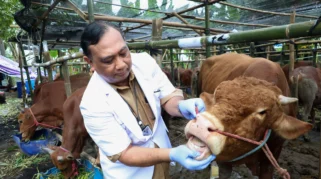DPRD Surabaya Dorong Kelurahan Awasi Lapak Hewan Kurban Jelang Iduladha