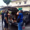 Dua Begal Bersenjata Diduga Beraksi di 190 Lokasi, Polisi Ungkap Rekam Jejak Pelaku