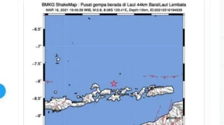 Dua Gempa Magnitudo Kecil Mengguncang Lembata dan Pegunungan Arfak Malam Ini