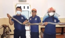 Eks Napi Narkoba Bawa Celurit Satroni Rumah Warga di Bajulmati, Banyuwangi
