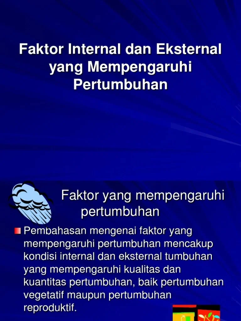 Faktor-Faktor Eksternal yang Memperkuat atau Mengurangi Dampak Inflasi