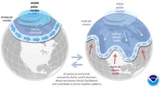 Fenomena Arctic Amplification, Kenaikan Suhu Ekstrem di Arktik Mengancam Ekosistem Global