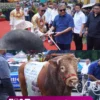 Festival dan Expo Sapi Jember 2025 Jadi Ajang Kebanggaan Peternak dan Promosi Budaya Lokal