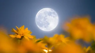 Flower Moon 2 Mei 2026: Waktu, Cara Mengamati, dan Fakta Ilmiah