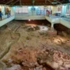 Fosil Dinosaurus Terbesar di Asia Tenggara Ditemukan di Thailand