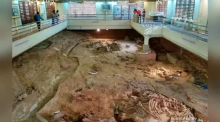 Fosil Dinosaurus Terbesar di Asia Tenggara Ditemukan di Thailand