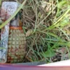 Geger! Granat Tangan Ditemukan di Kebun Karet Glenmore, Polisi Lakukan Disposal