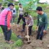 Gerakan Menanam Seribu Pohon di TK DWP 3 Banyuputih: Wujud Nyata Peduli Lingkungan