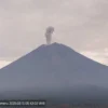 Gunung Semeru Erupsi Kembali, BPBD Lumajang Tetapkan Zona Larangan Ketat