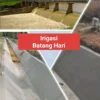 Hadiri Rakor Peningkatan Jaringan Irigasi, Solusi Hadapi Ancaman Kekeringan di Ciamis