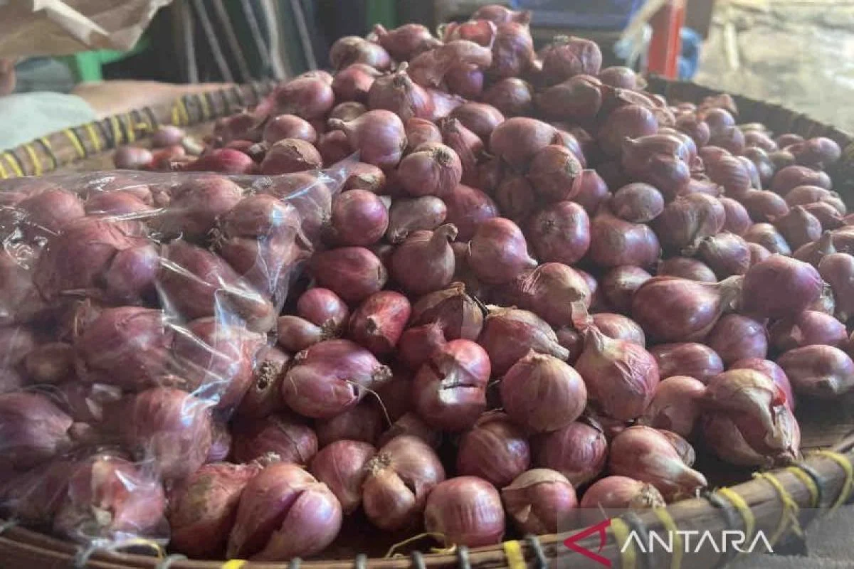 Harga Bawang Merah dan MinyaKita Naik, Tekan Belanja Warga Tangsel