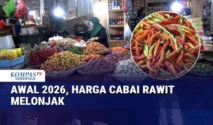Harga Pangan Melonjak di Awal Mei 2026, Cabai dan Beras Jadi Sorotan