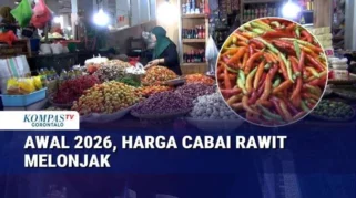 Harga Pangan Melonjak di Awal Mei 2026, Cabai dan Beras Jadi Sorotan