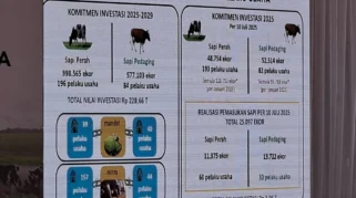 Harga Sapi Impor Naik, Guru Besar UGM Dorong Perkuat Populasi Sapi Nasional