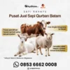 Harga Sapi Kurban 2026: Tantangan Peternak dan Dukungan Pemerintah Menjelang Idul Adha