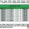 Harga TBS Sawit Turun Drastis hingga Rp 1.500 per Kg, Petani Sawit Mulai Resah