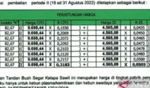 Harga TBS Sawit Turun Drastis hingga Rp 1.500 per Kg, Petani Sawit Mulai Resah